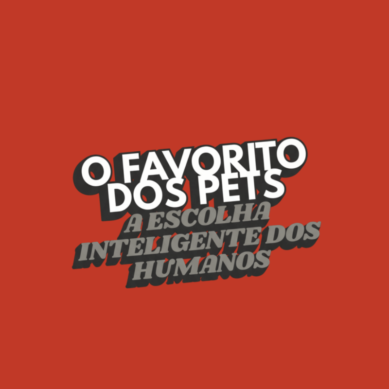 Fígado de frango desidratado 60g - Image 3